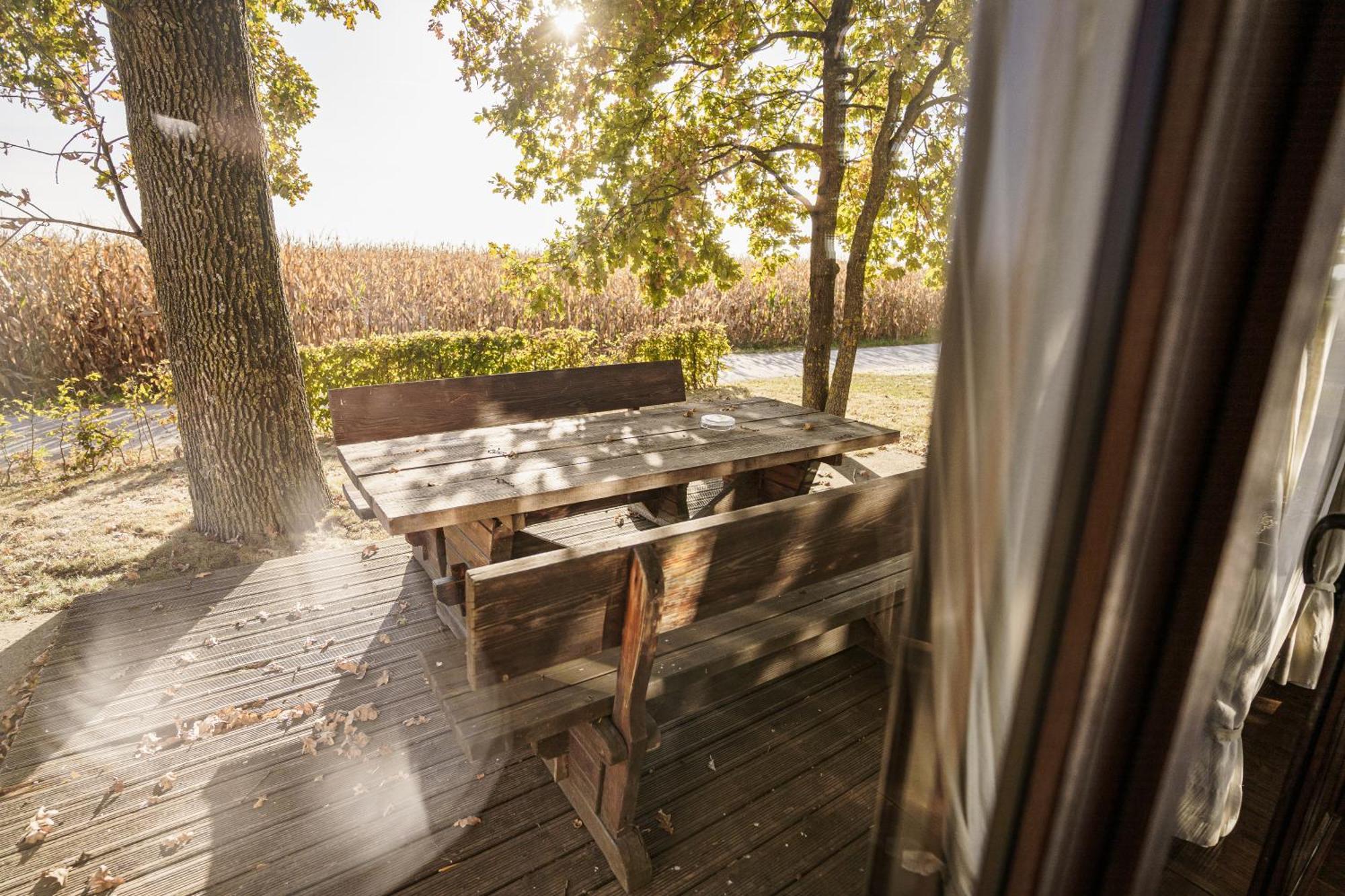 Panonska Vas Villas Moravske Toplice Exterior foto